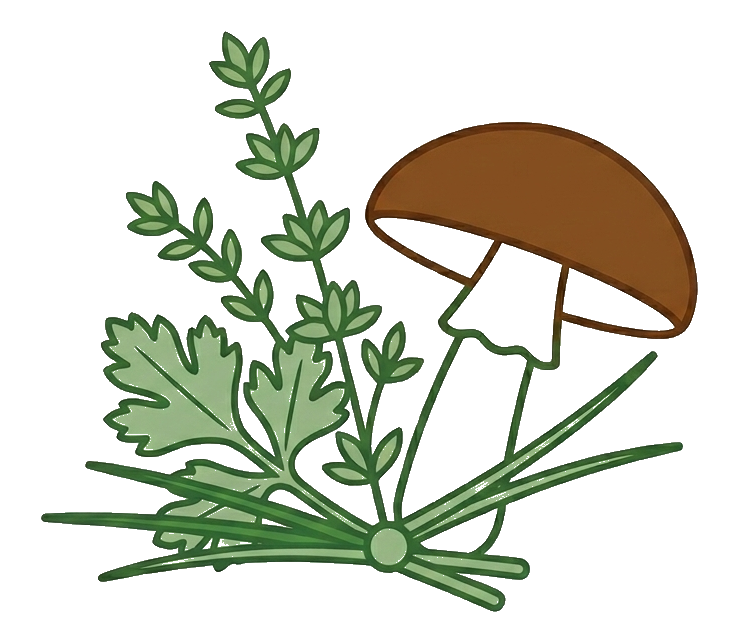 Kräuter & Pilze